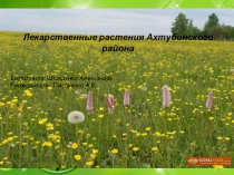 Лекарственные растения Астраханской области