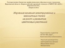 Презентация: Влияние электромагнитных полей на рост цветковых растений