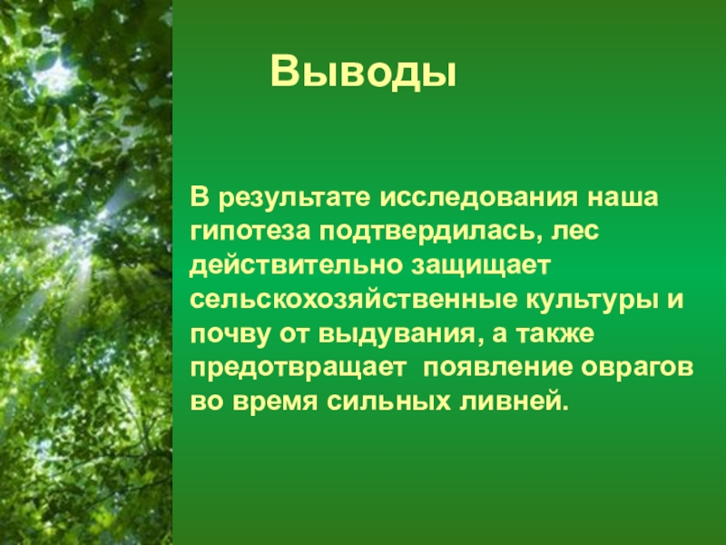 Лес защитник почвы. Гипотеза про лес. Лес защитник. Лес защитник и лекарь презентация. Как называют защитников леса.