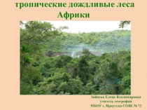 Презентация по географии на тему: Тропические дождливые леса Африки (7 класс)