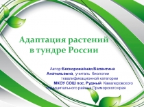 Презентация по биологии на тему Адаптация растений в тундре России 9класс