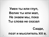 Язык и речь. Речевая ситуация. Уровни языка