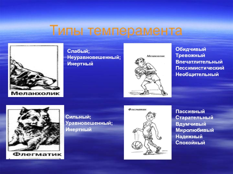 Какому типу темперамента соответствует приведенная ниже картинка и описание сильный уравновешенный