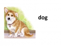 Презентация к Unit 9 учебник Rainbow English 2 класс