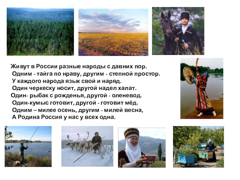 Народы тайги в россии