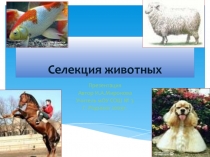 Презентация по биологии на тему: