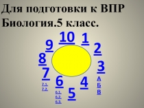 Презентация по биологии Подготовка к ВПР