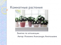 Комнатные растения