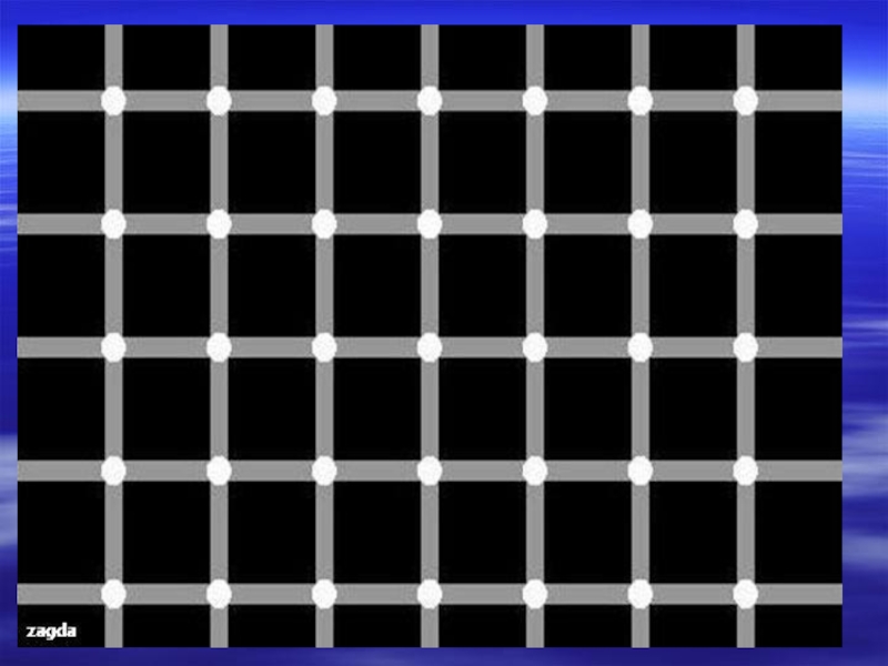 Иллюзия 9 букв. Иллюзия решетки (решетка Геринга). Оптическая иллюзия с точками. Оптическая иллюзия черные точки. Иллюзия с черными точками.