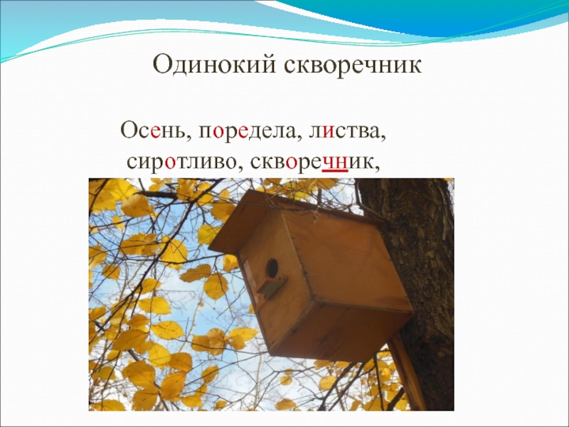 Опустел скворечник. Одинокий скворечник. Одинокий скворечник Бианки. Изложение осень 3 класс скворечник. Осень. Одинокий скворечник изложение.