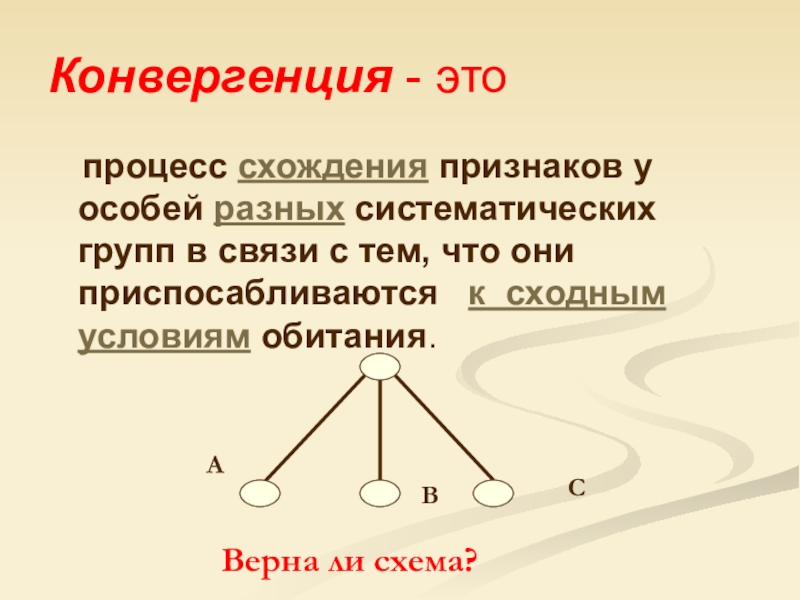 Модели эколого систематических групп для дошкольников картинки