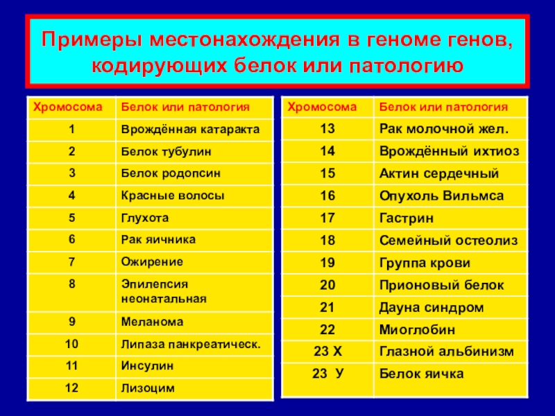 Сколько геншину лет. Гены человека список. Сколько генов у человека. Гены человека список названий. 'Голько генов у человека.