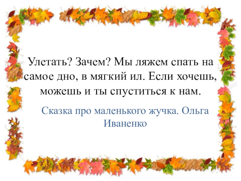 Улетать? Зачем? Мы ляжем спать на самое дно, в мягкий ил. Если хочешь, можешь и ты спуститься