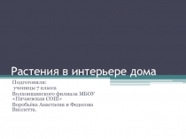 Презентация Растения в интерьере моего дома.