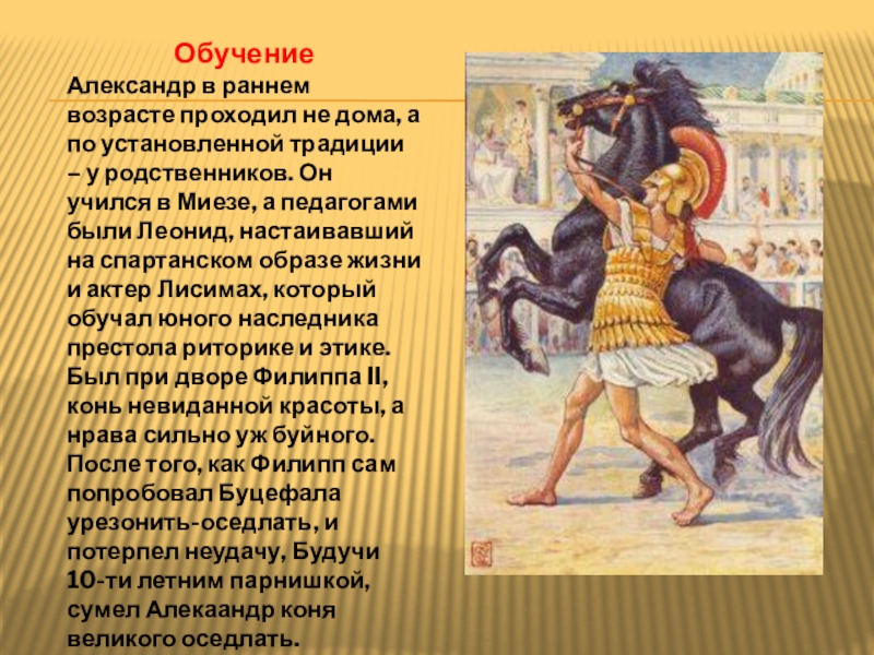 Доклад: Александр IV Македонский