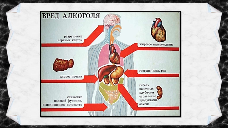 Презентация о вреде алкоголя на английском