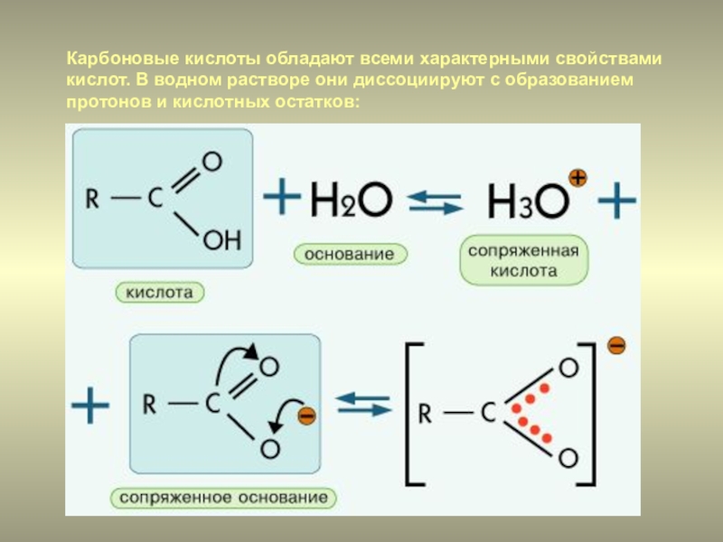 Формула карбоксильной кислоты. Карбоновая кислота 11 атомов углерода. Карбоновая кислота с h2o2. Характерные реакции карбоновых кислот. Карбоновые кислоты классификация и строение.