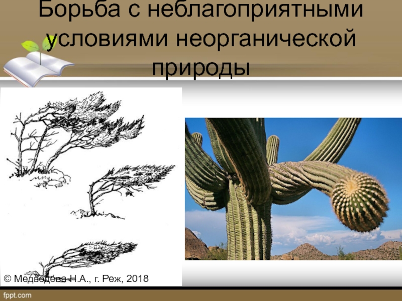 Чем выражается борьба организмов с неблагоприятными условиями. Борьба с неблагоприятными условиями неорганической природы. Борьба с неблагоприятными условиями неживой природы. Борьба с неблагоприятными условиями. В природе борьба с неблагоприятными условиями.