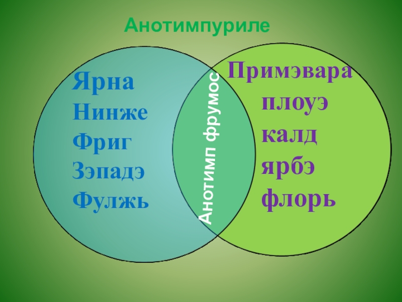 Анотимпуриле Примэвара   плоуэ   калд   ярбэ   флорь