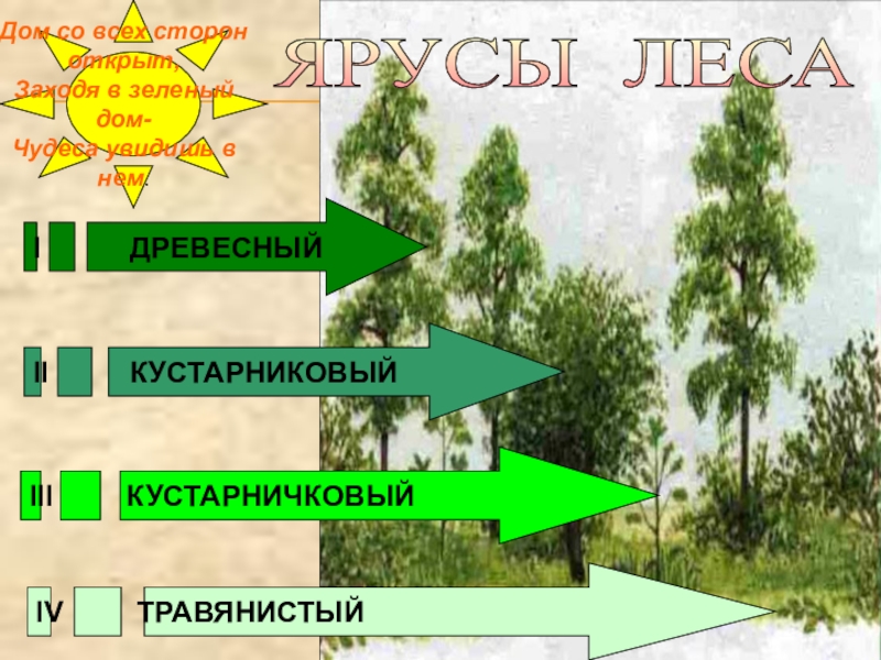 Жизнь леса 4 класс окружающий мир презентация