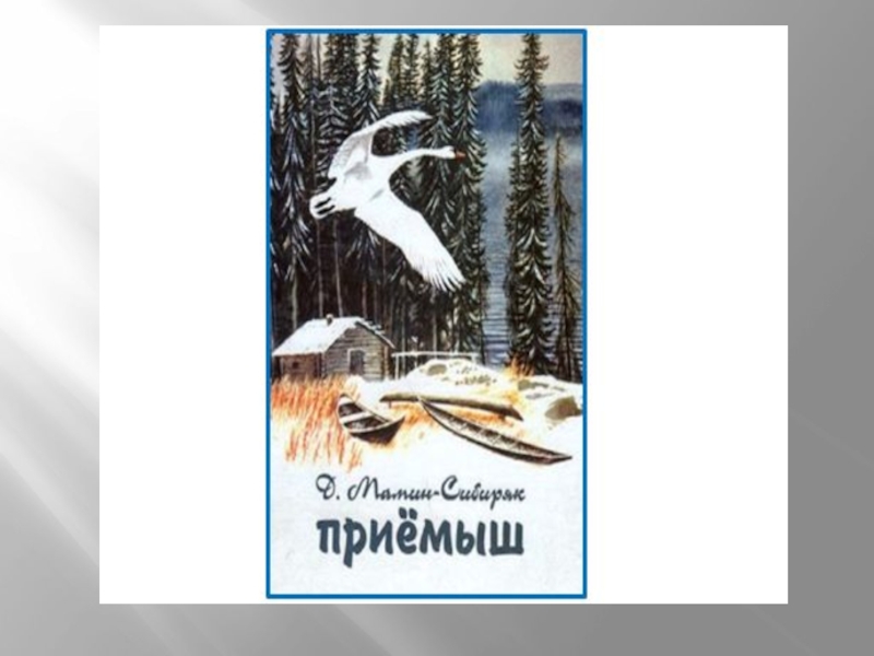 Кроссворд в п астафьева стрижонок скрип. В П Астафьев Стрижонок скрип. Литературное чтение 4 класс Стрижонок скрип в.Астафьев. Раскраска Стрижонок скрип Астафьев.