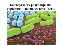 Презентация по биологии на тему Бактерии, их разнообразие, строение, и жизнедеятельность