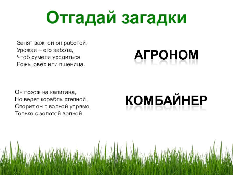 Село загадка. Загадки про агронома для детей. Загадка про агронома. Загадки про сельское хозяйство. Загадки про хозяйство.