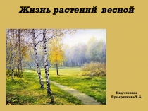 Презентация по биологии Жизнь растений весной