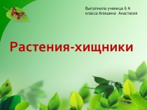 Презентация по биологии Растения хищники