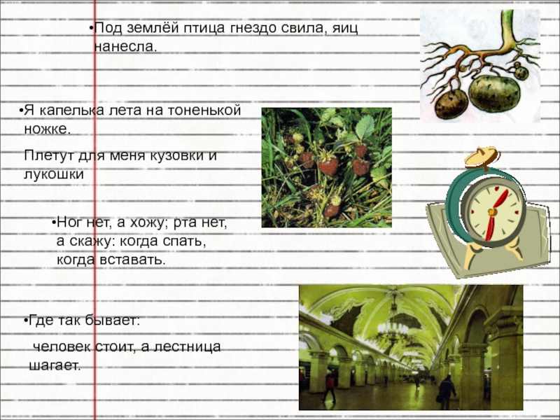 кроссворд про чеснок. свила гнездо. свила гнездо. под землёй птица гнездо свила яиц нанесла. под землей птица гнездо свела яиц нанесла.