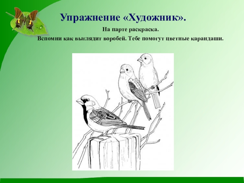 Тест по биологии на тему птицы