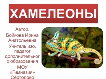 Презентация по внеурочной деятельности на тему Хамелеон (4 класс)