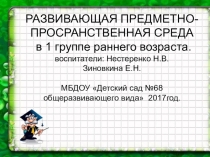 Развивающая предметно- пространственная среда в группе раннего возраста