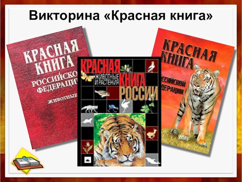 Викторина красная книга презентация