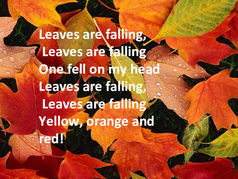 Ноябрь на английском языке. Стих про осень на английском. Стихотворения на англ об осени. Стих по английскому про осень. Красивые стихи про осень на английском языке.
