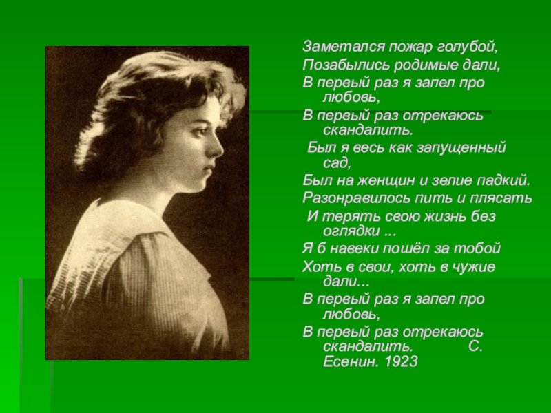 Пожар голубой. Сергей Есенин Позабылись родимые. Сергей Есенин заметался. Сергей Есенин пожар голубой. Заметался пожар голубой стих Есенина.