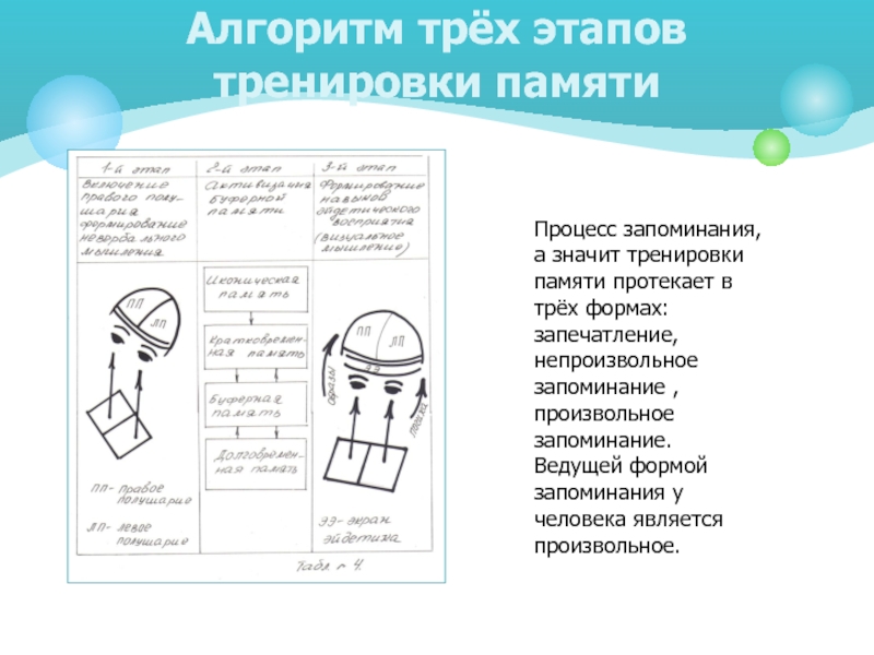 Проект как развивать память 6 класс обществознание