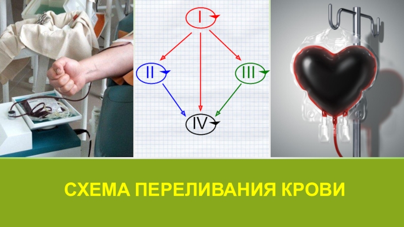 Схема переливания крови 8 класс