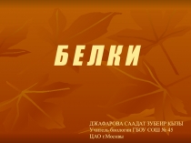 Презентация по окружающему миру на тему Белки (5 класс)