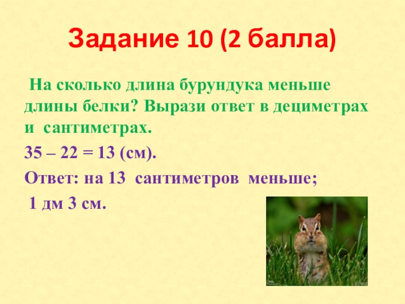 Задание 10 (2 балла) На сколько длина бурундука меньше длины белки? Вырази ответ в дециметрах и сантиметрах.