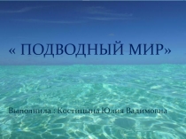 Подводный мир