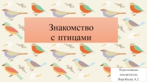 Знакомство с птицами