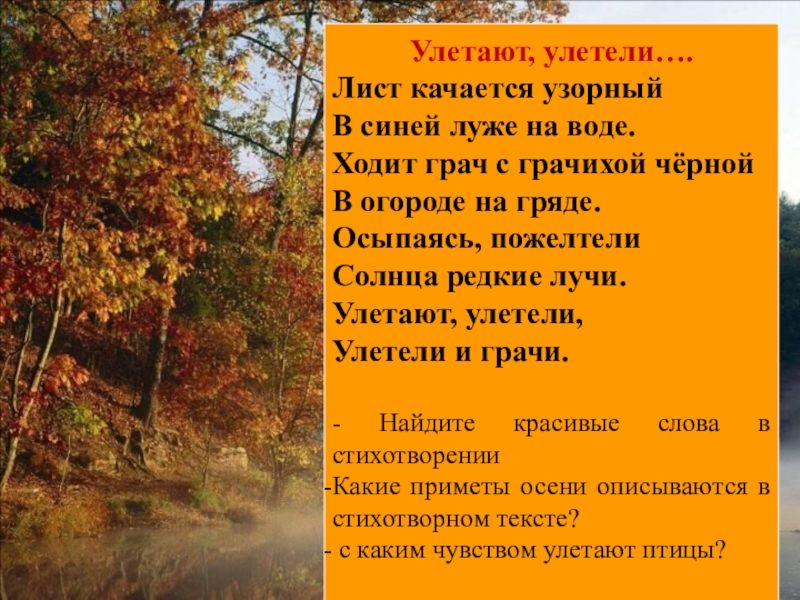 Текст песни улетели листья