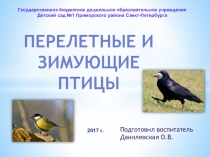 Презентация Перелетные и зимующие птицы ср.гр