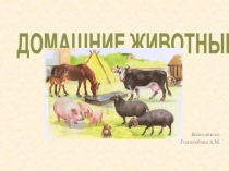 Презентация для дошкольников Домашние животные