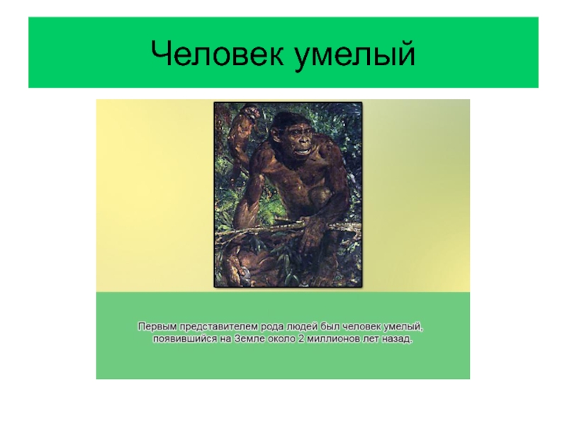 Человек умелый особенности культуры. Человек умелый. Человек умелый представители. Презентация по биологии 11 класс человек умелый. Человек умелый фото.