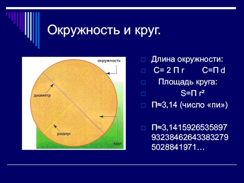 Длина окружности равна числа. Круги и окружности. Длина окружности. Объем круга. Площадь круга.