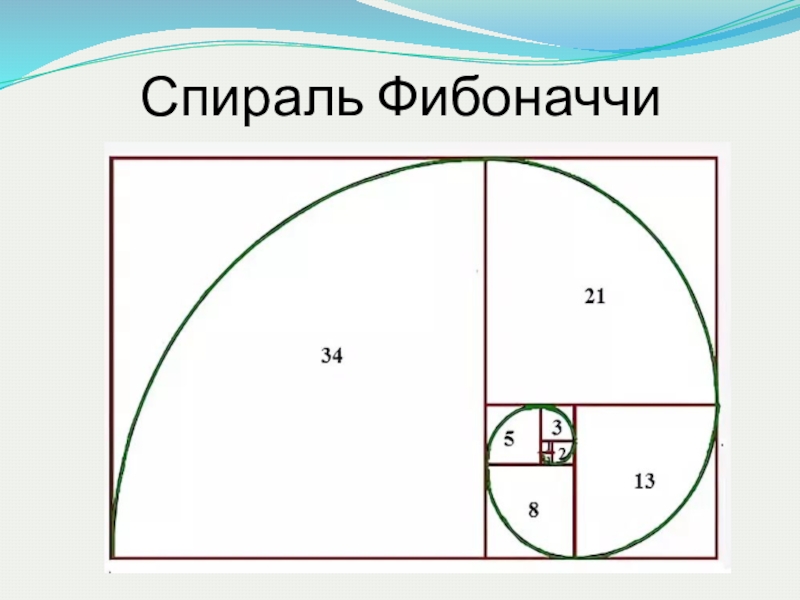 Загадка фибоначчи