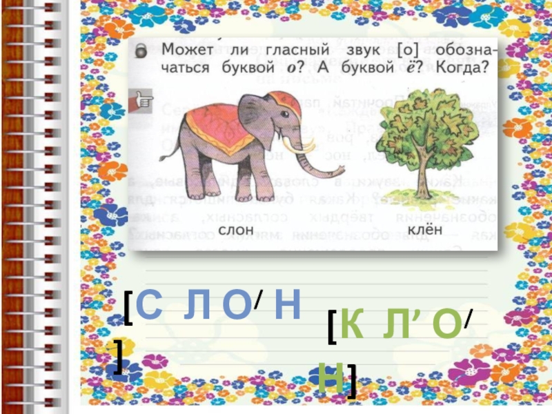 Слон схема слова 1. Слон звуковая схема. Слово слон. Слон звуки и буквы. Звуковой домик слон.