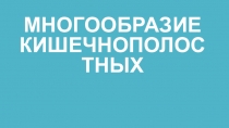 Презентация по биологии на тему Многообразие кишечнополостных